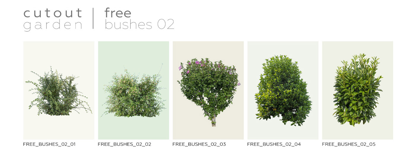 architecture bush bushes cutout shrubs Tree  trees vizualisation