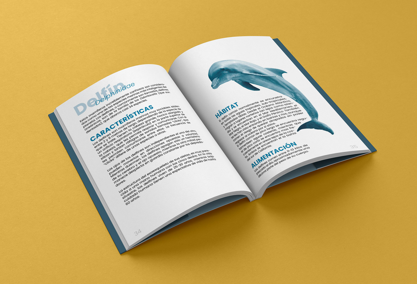book editorial design InDesign adobe illustrator Graphic Designer