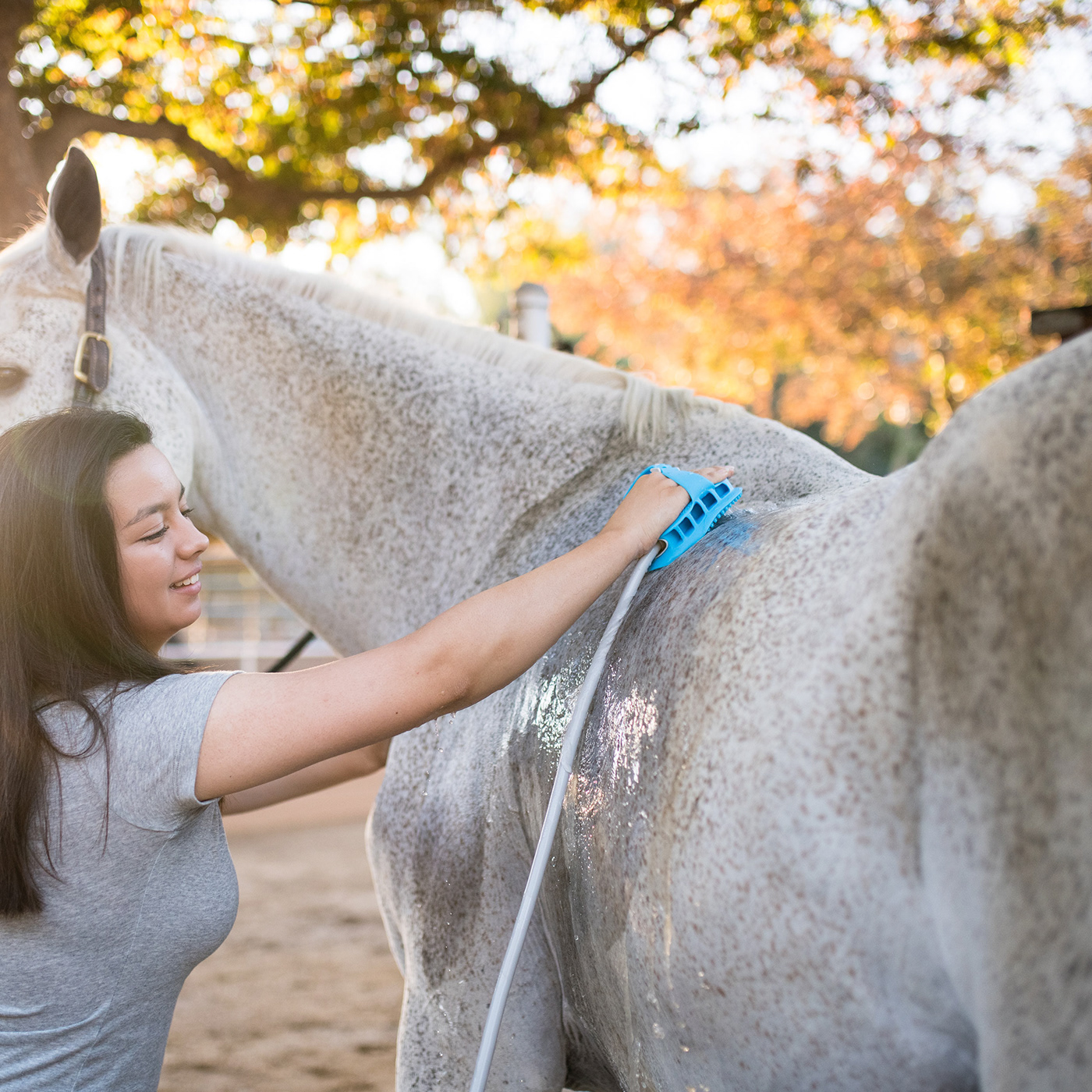 aqua Aquapaw bath sprayer equine horse hydraulic water Water sprayer