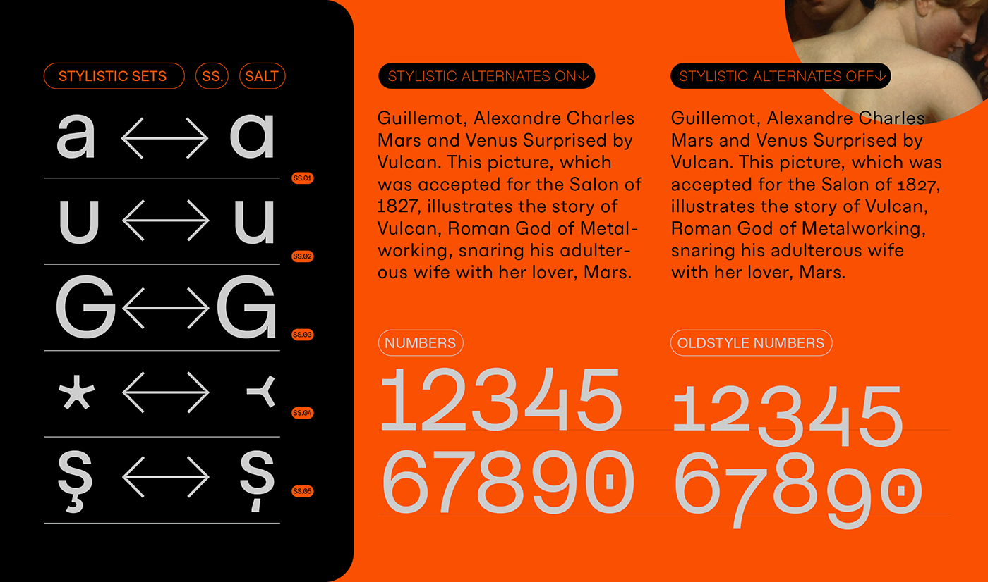 branding  font freefont grotesk grotesque Typeface typography  