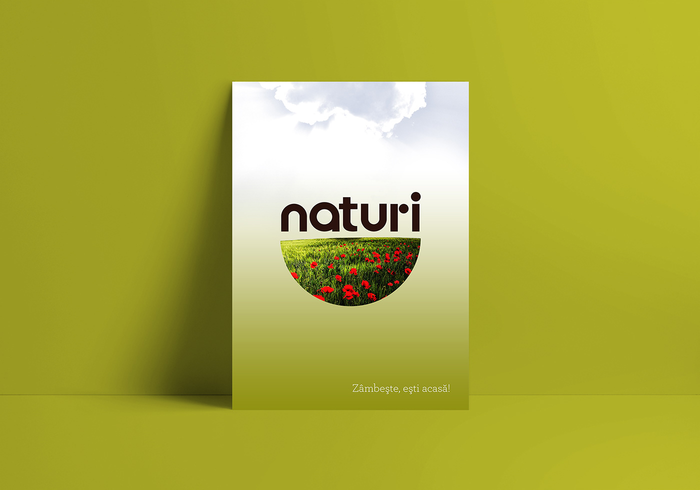 Retail store Food  healthy eco bio Sanovita Logo Design dynamic logo