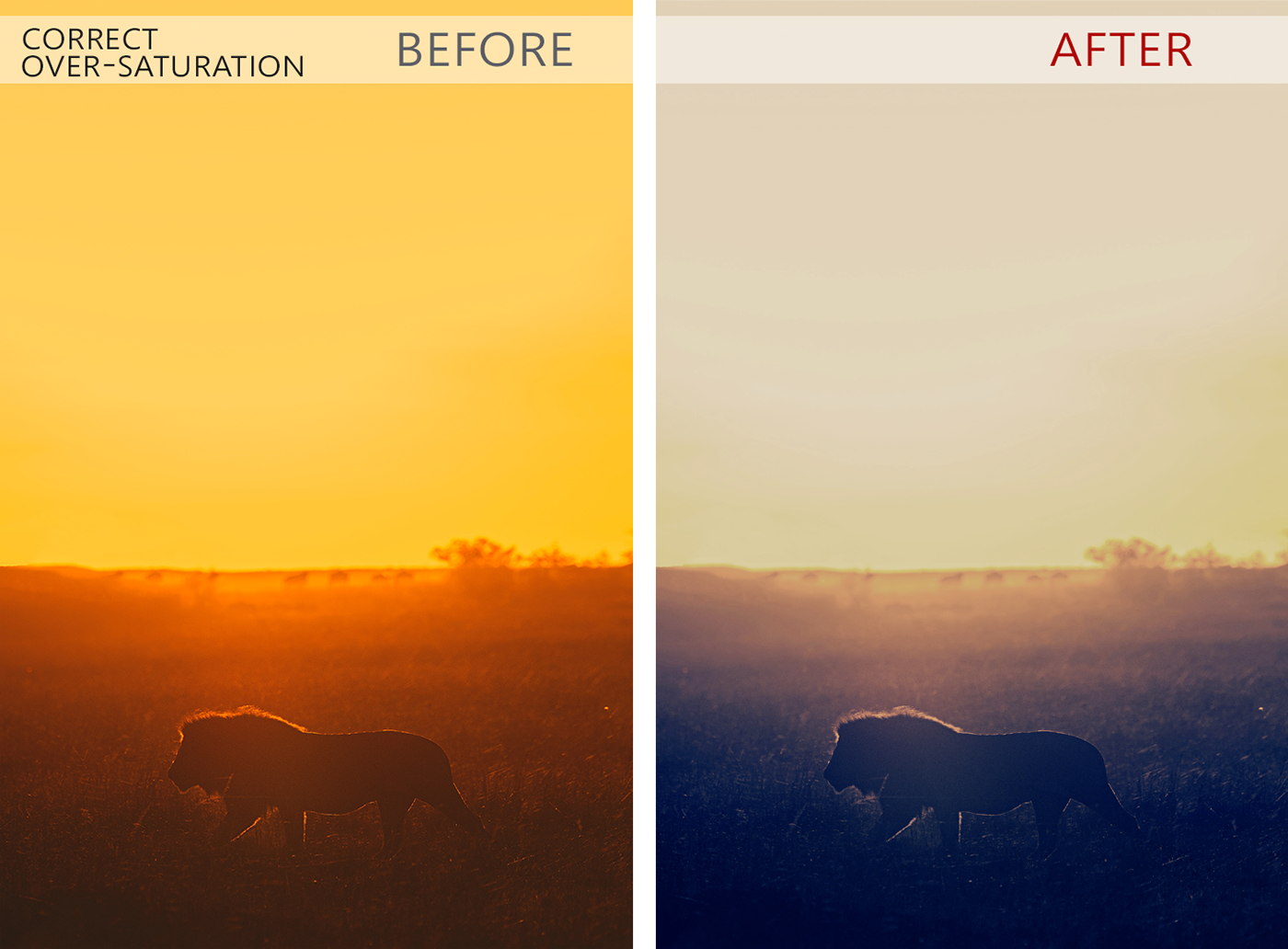 #color-correction #over-saturated even tones photo clarity