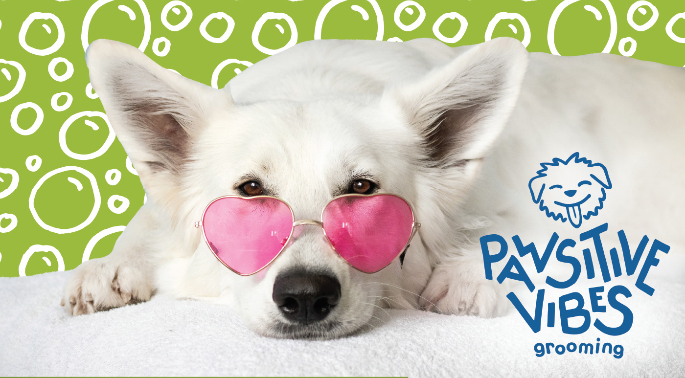 groomer logo branding  Patterns identity dog products