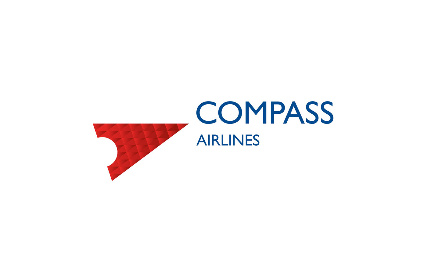 Airlines Airline Branding rebranding Airline Identity Airways Aircraft airline airplane compass bird arctic tern reindeer tape