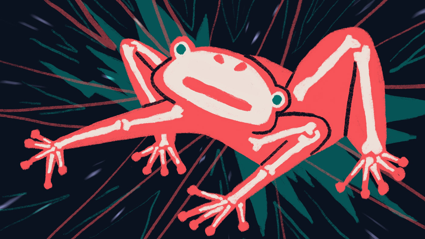 ILLUSTRATION  Style Frame Digital Art  superstitious frog storyboard