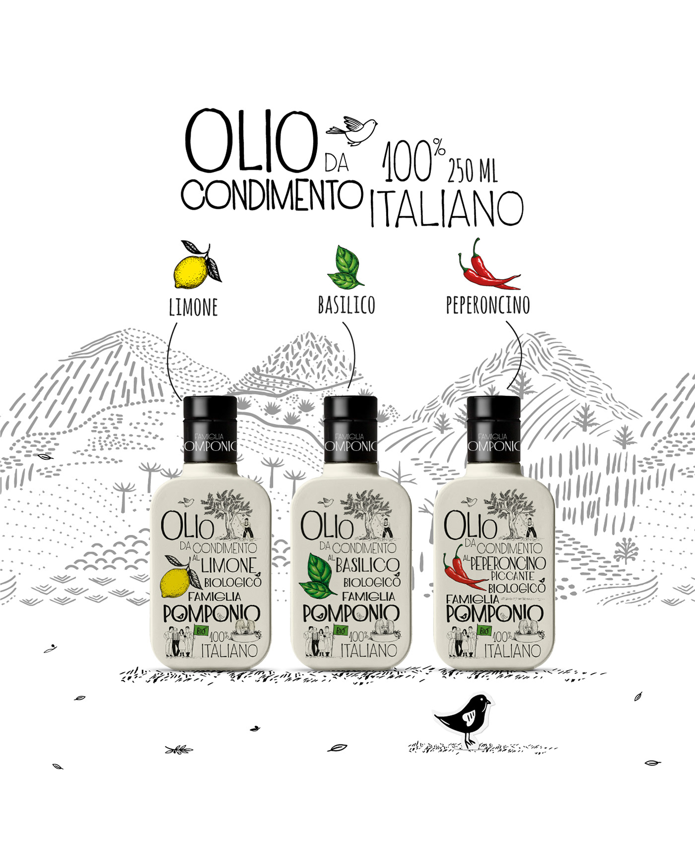 bottle branding  Drawing  Label label design olio olive package Packaging storytelling  