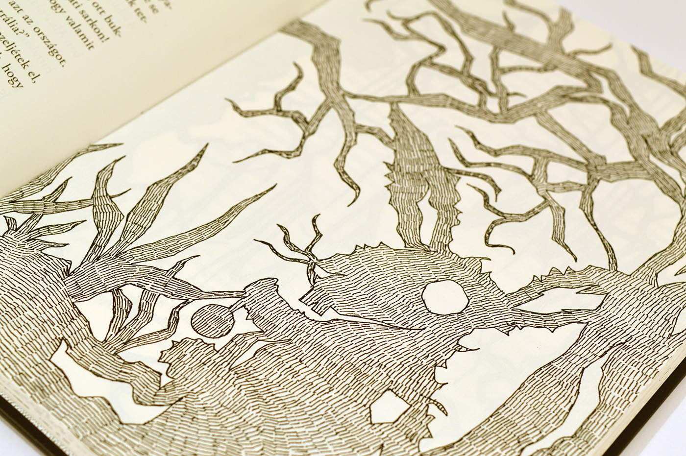 book design alice wonderland ILLUSTRATION  Drawing  Bookbinding dark