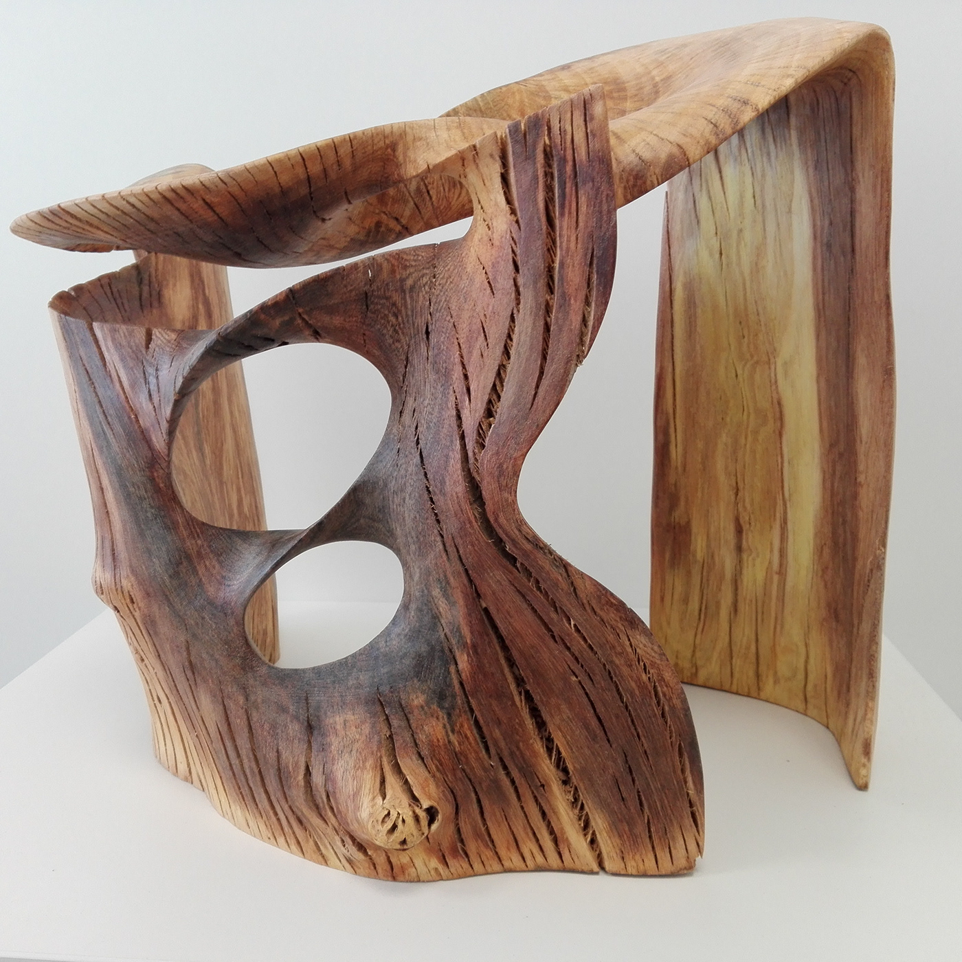 wood woodcarving sculpting  sculpture Fusta  escultura