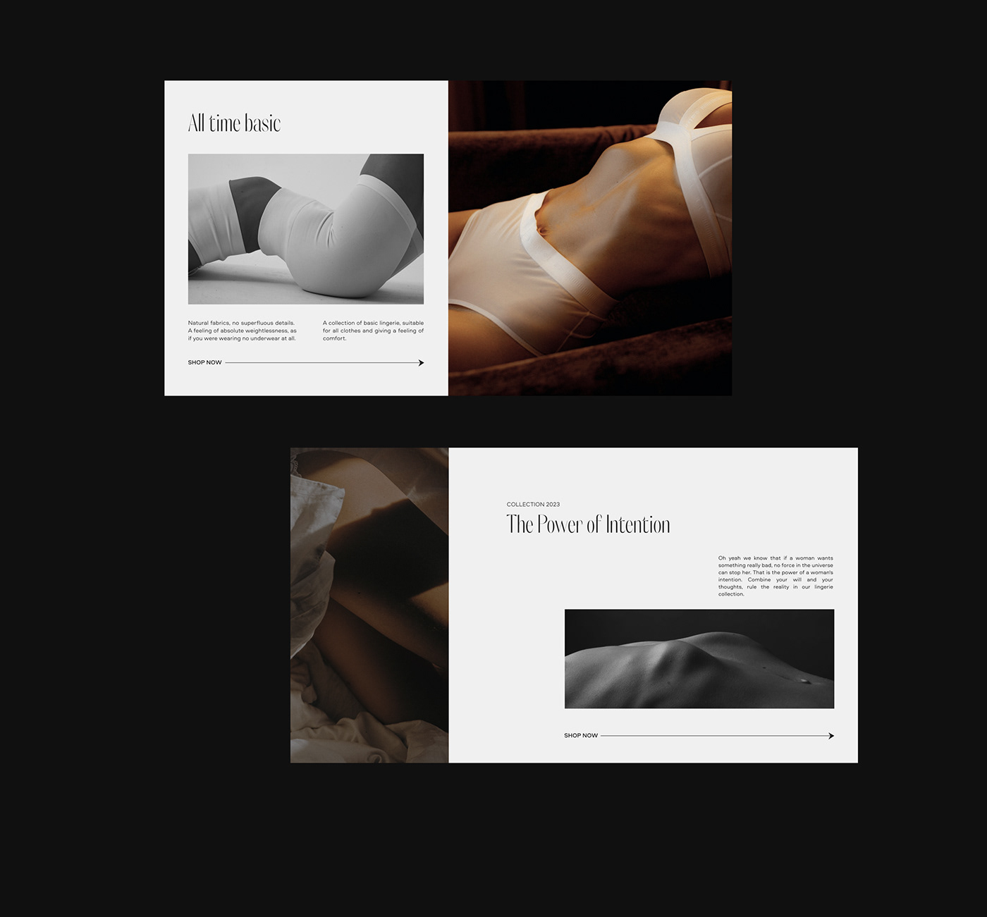 animation  brand identity e-commerce lingerie minimal sensual shop store UI/UX Website