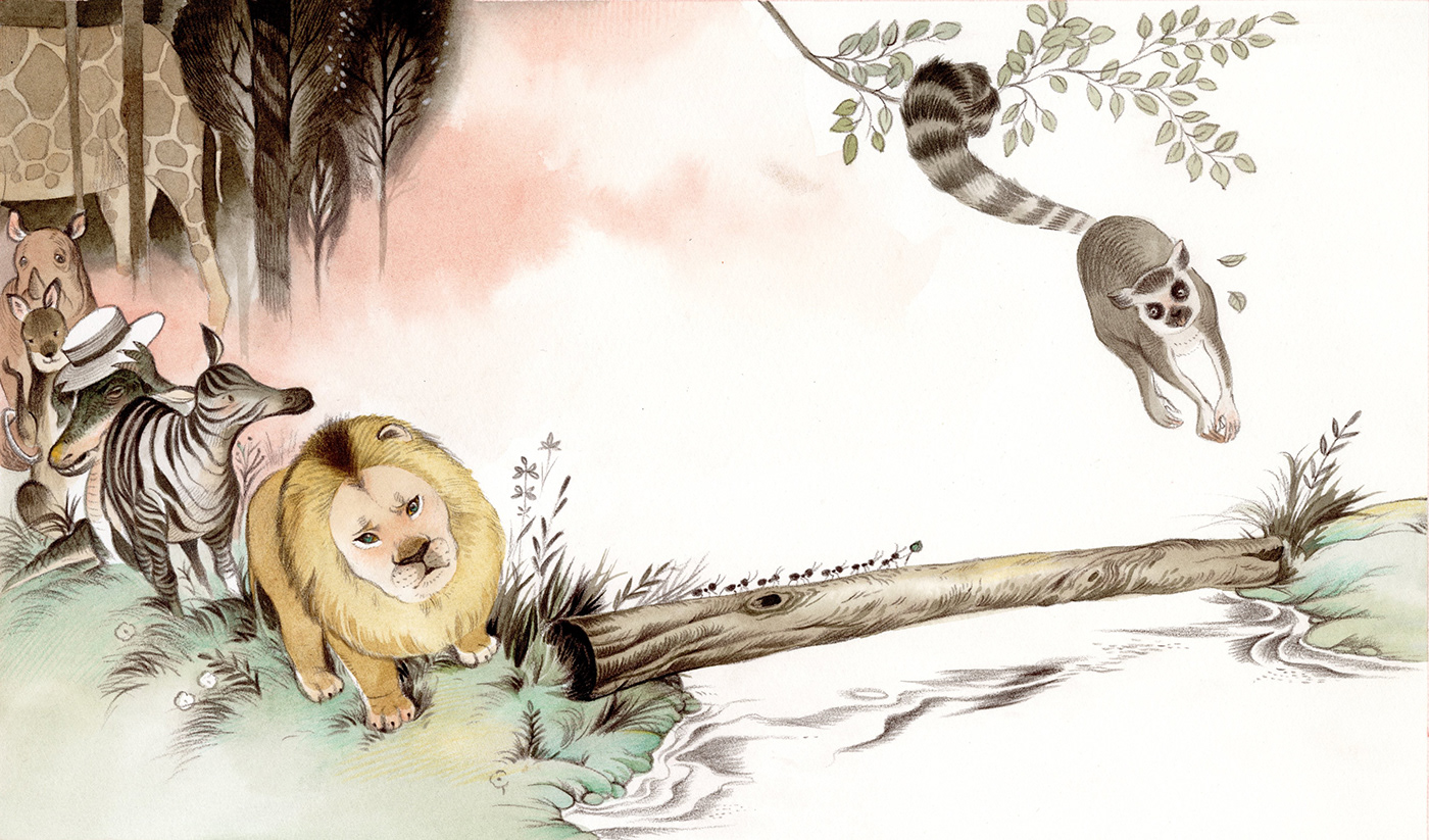 ILLUSTRATION  publishing   animals childrensbook watercolor picturebooks