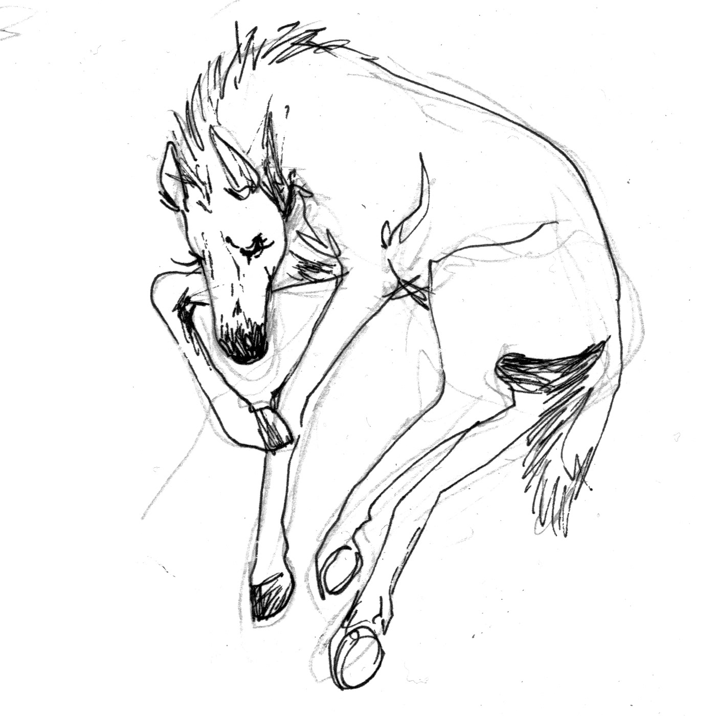 black book comic Drawing  graphicnovel horse ILLUSTRATION  Nature thriller White