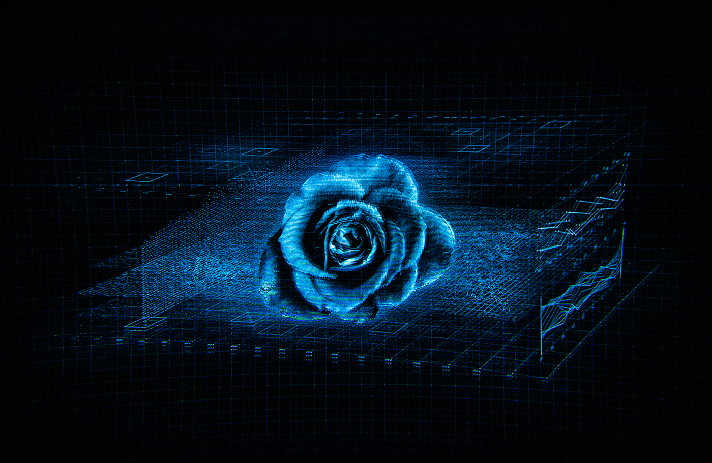 Image result for hologram rose