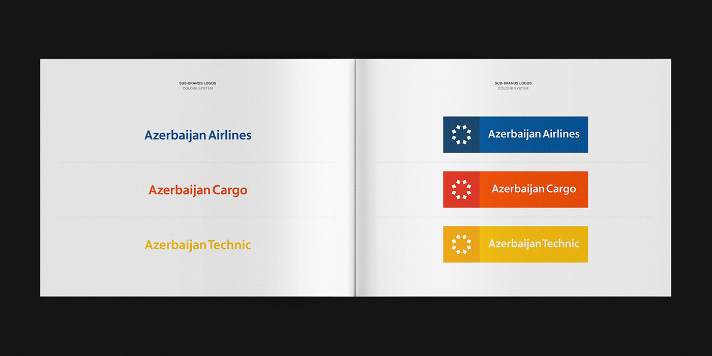 branding  Airlines Livery architecture Logo system brand manual