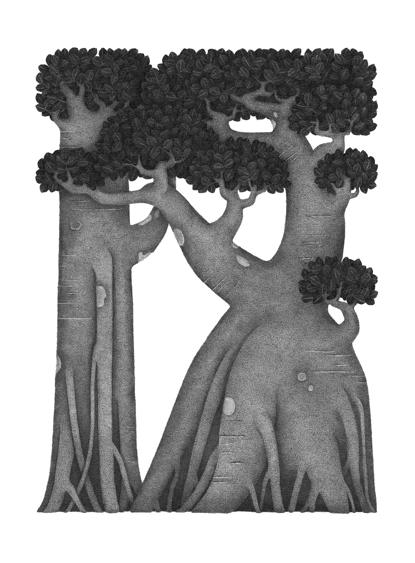 botanical illustration ILLUSTRATION  Illustrator monochrome pencil plants Tree  tropic tropical tree 鉛筆