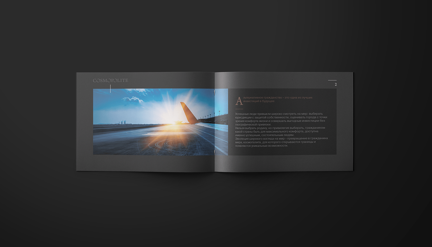 branding  brochure editorial graphic design  identity Layout lettering print design  typography  