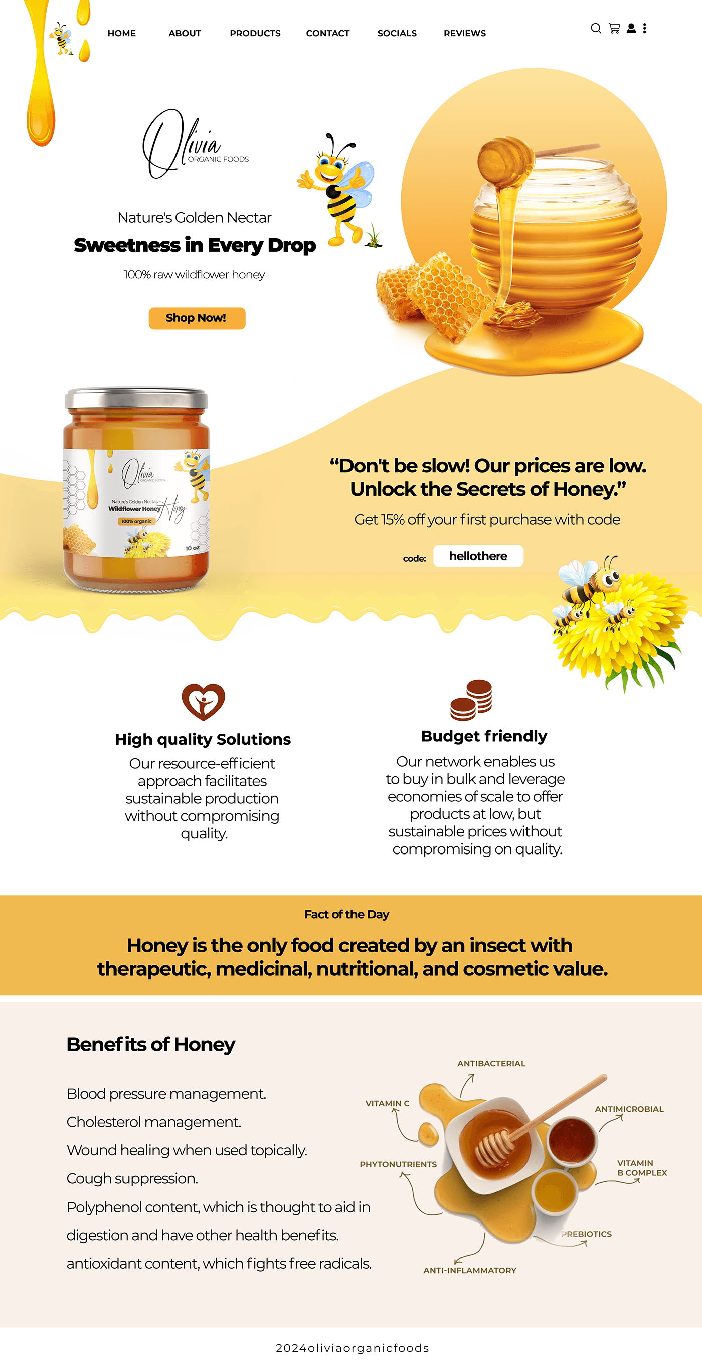Website Design graphic design  honey branding  brand identity