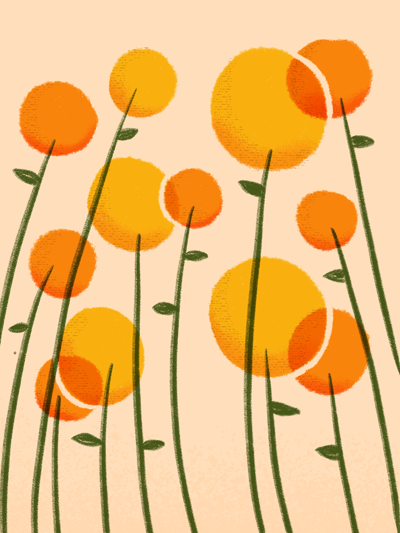 flower texture ILLUSTRATION  Drawing  brush Procreate iPad ipad pro orange yellow