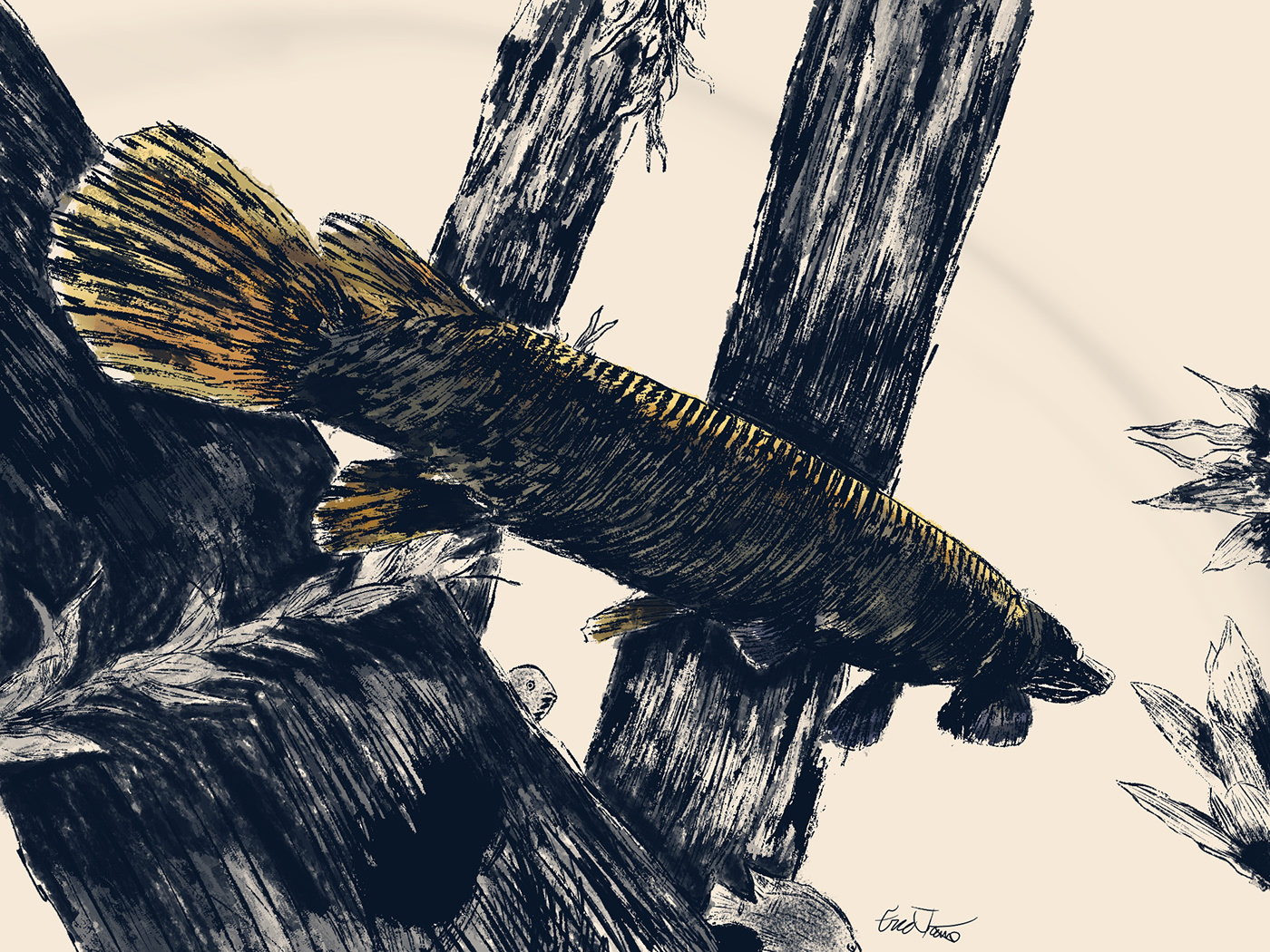 Digital Art  Drawing  fish ILLUSTRATION 