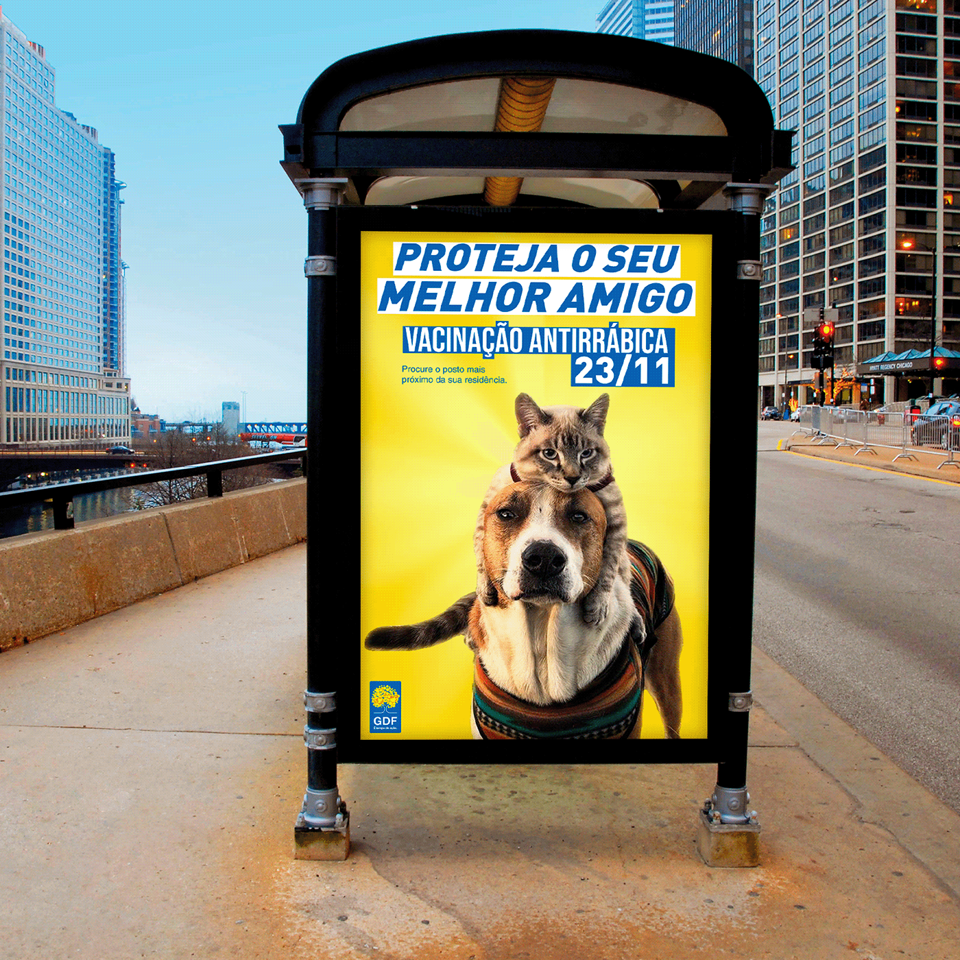 bis cães Direção de arte faculdade gatos lacta publicidade redação publicitária vacinação  xtra