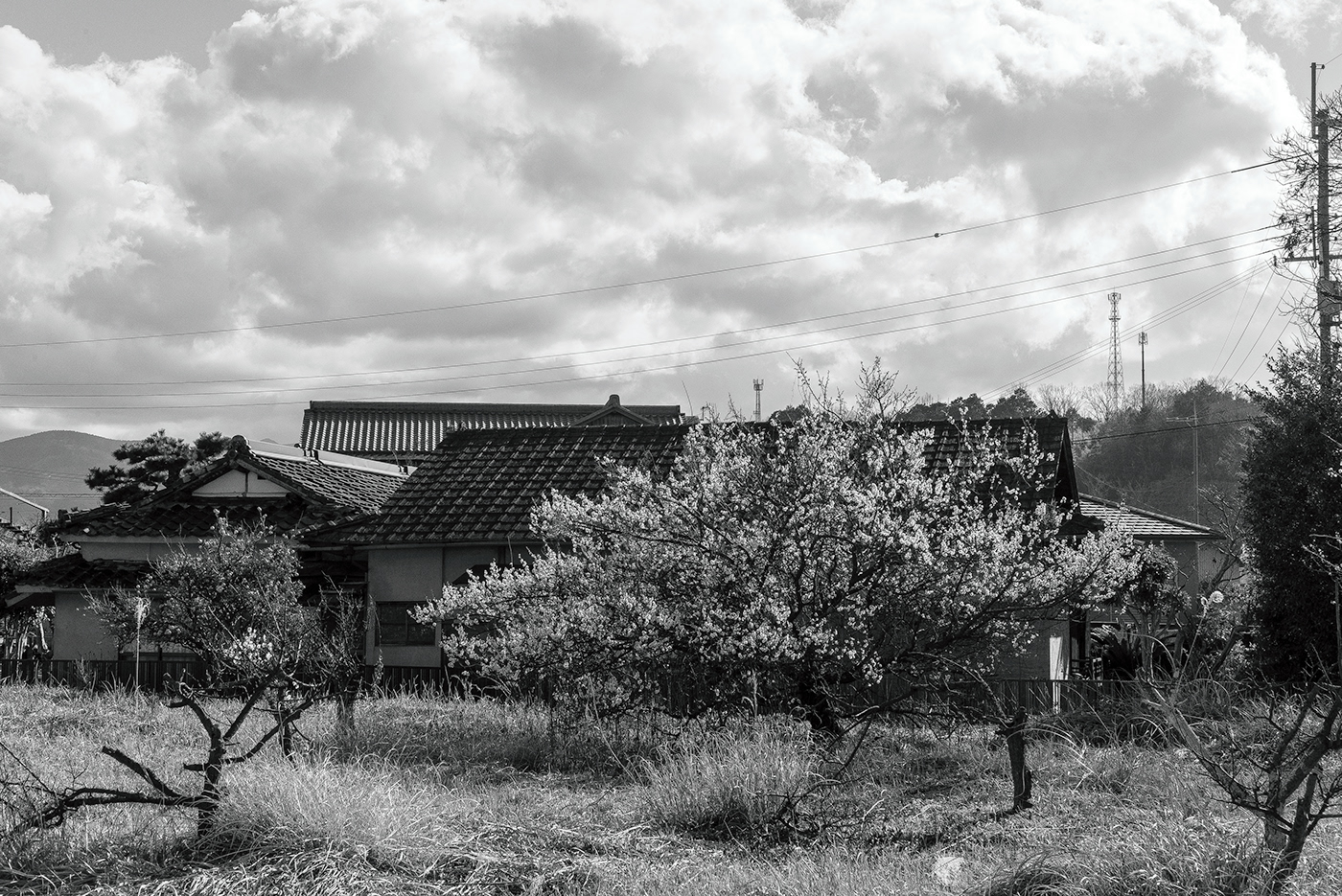 black and white monochrome countryside Wakayama Prefecture japan