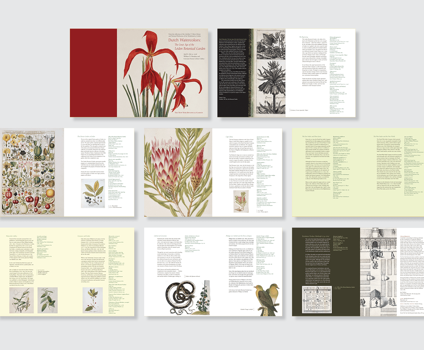 brochures Signage Direct mail print editorial design  graphic design  Layout typography   marketing   botanical art