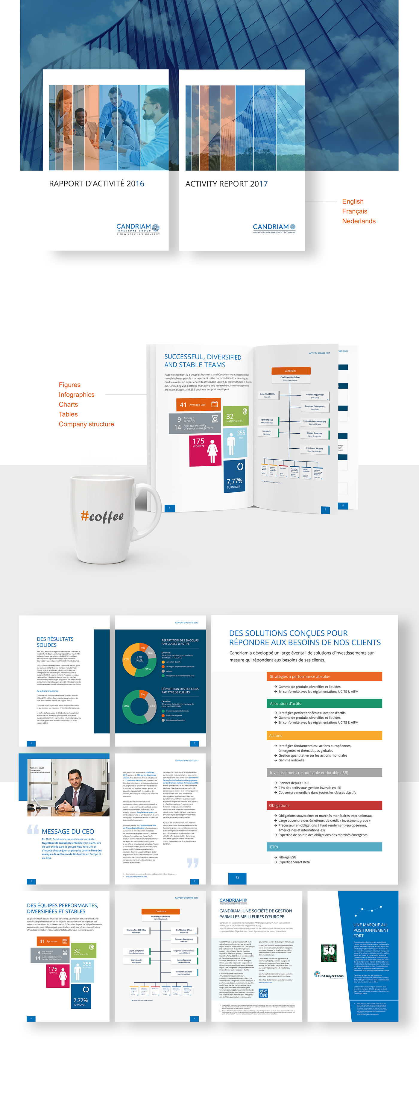 brochure report design print infographics Charts