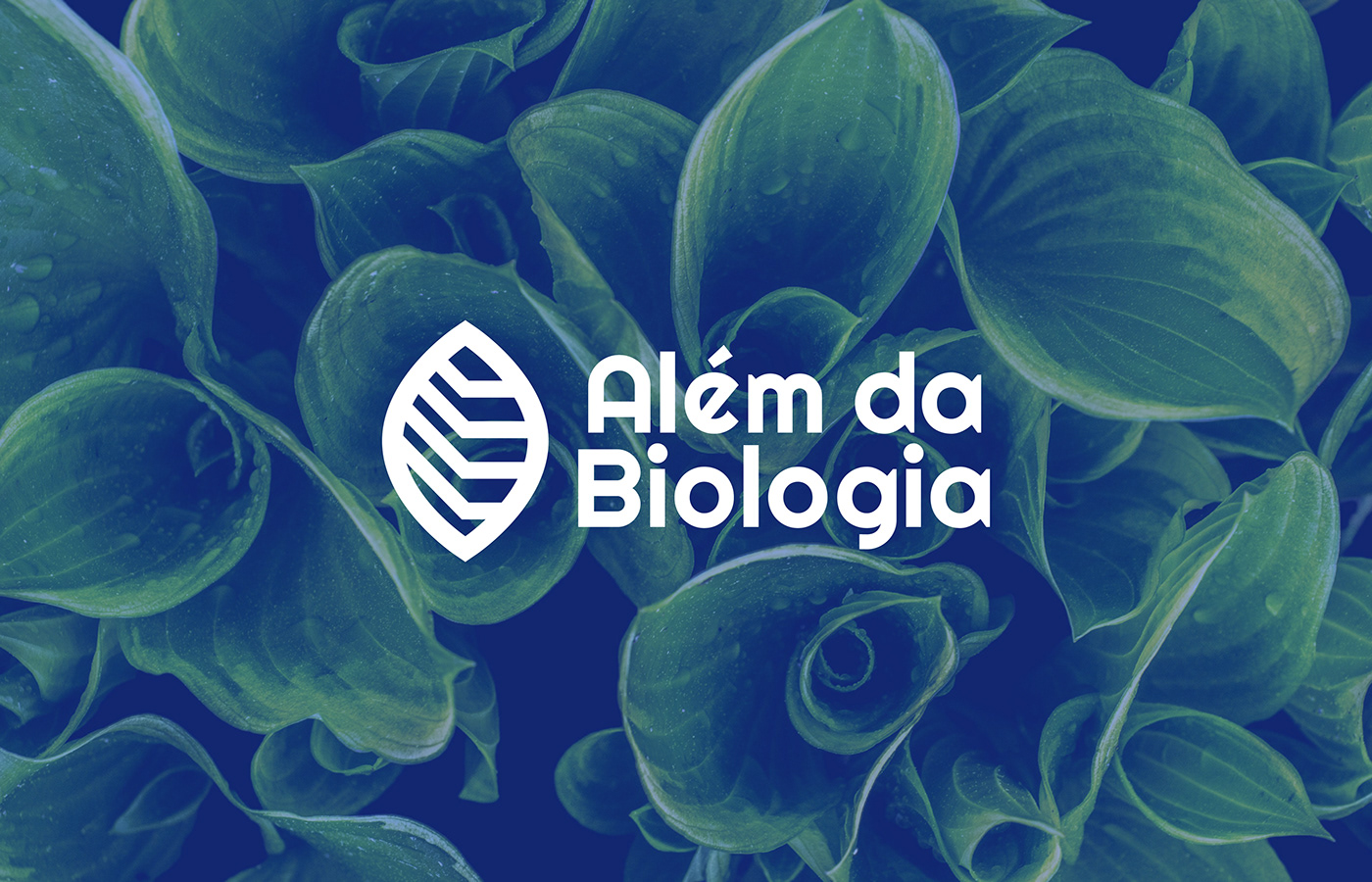 biology brand identity Education science visual identity biomimicry Interdisciplinary design Nature Logo Design