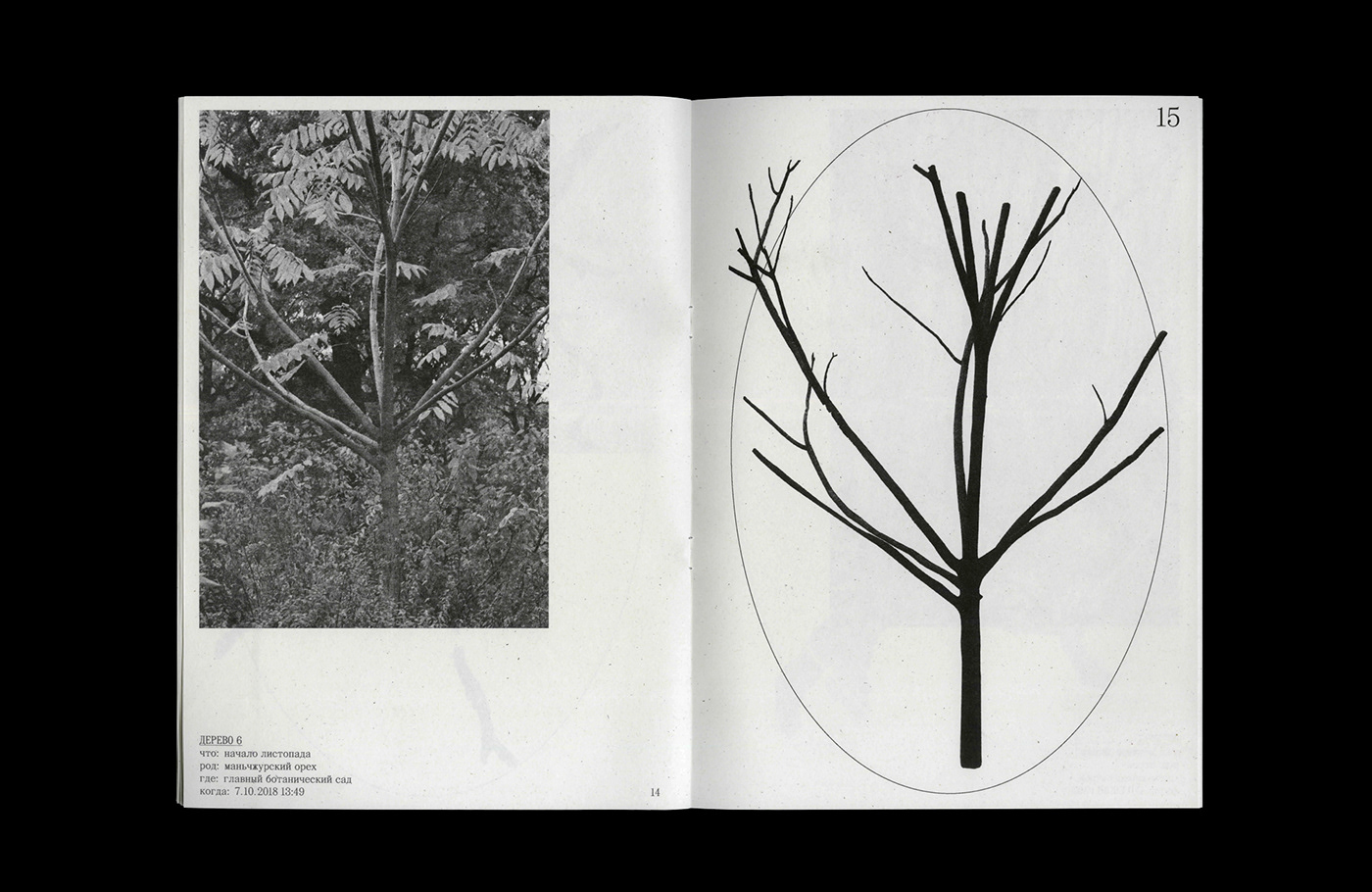 book Nature Tree  communication stensil graphics risograph photo collage diploma project diploma