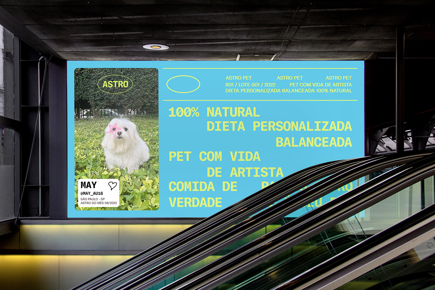 Comida Natural dog Merch Packaging Pet pet food pet shop veterinary