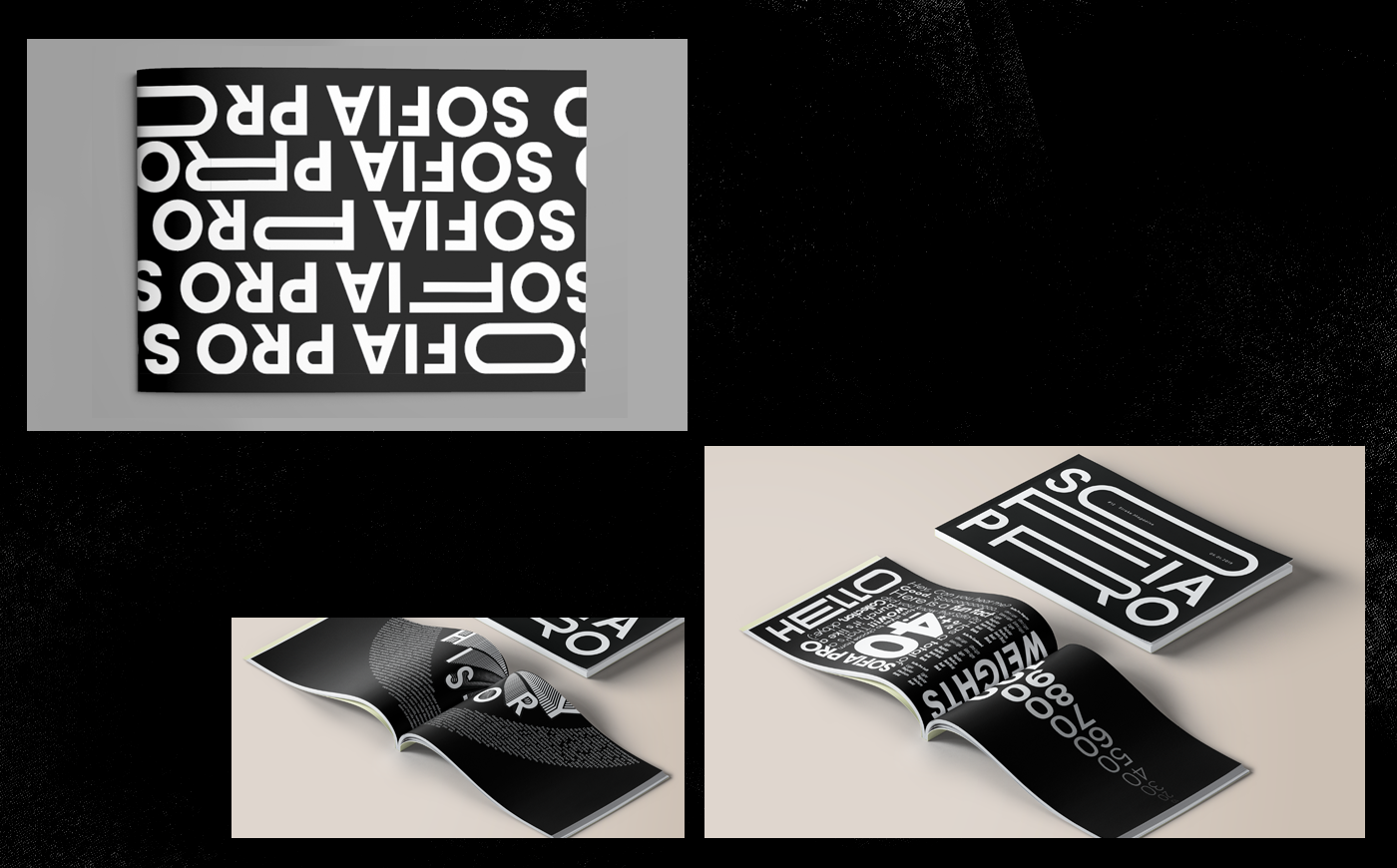 Type Specimen editorial layout publication typography   graphic design 