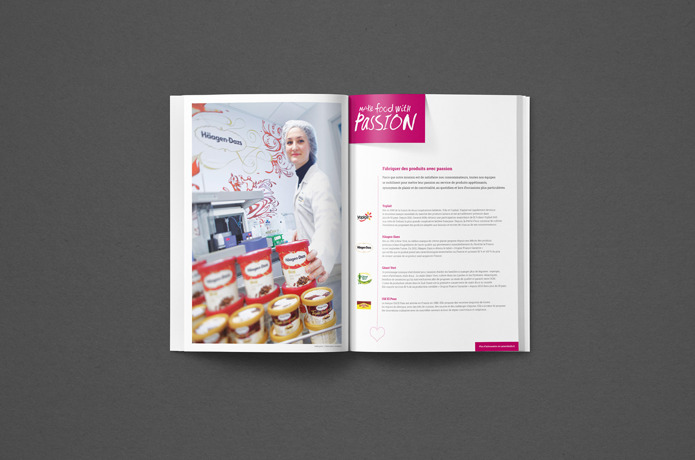 Alimentation Food  corporate brochure yoplait old el paso haagen dazs plaquette