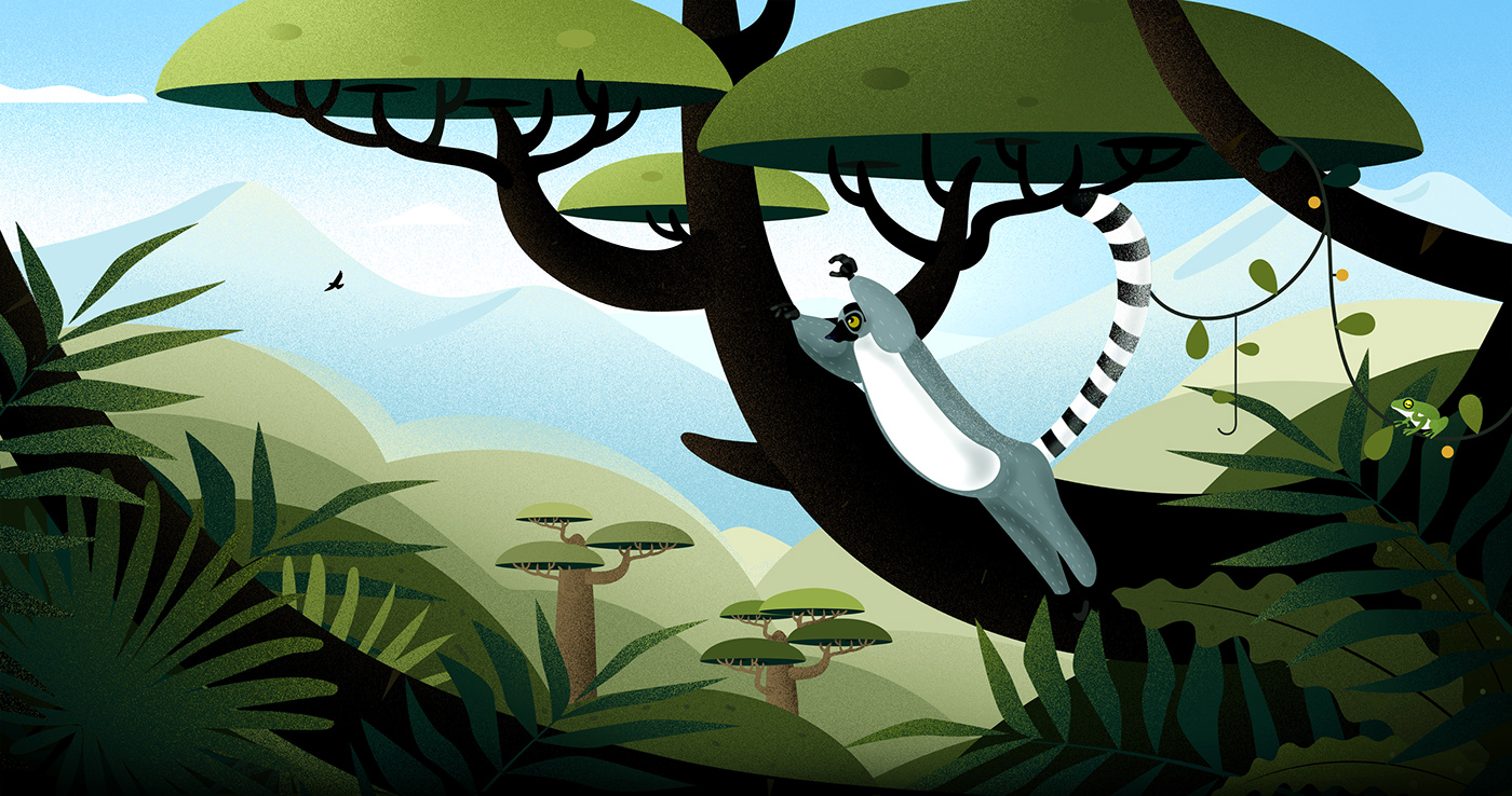 madagascar chester zoo landscapes zoo Island Nature Uber Uber Agency ILLUSTRATION  lemurs