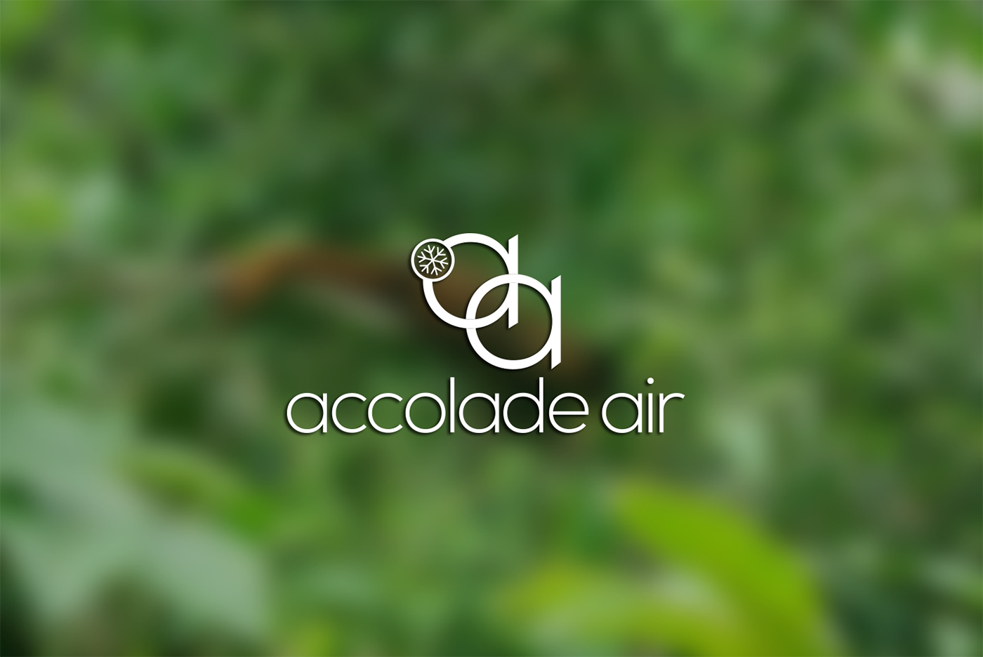accolade air logo brand identity business
