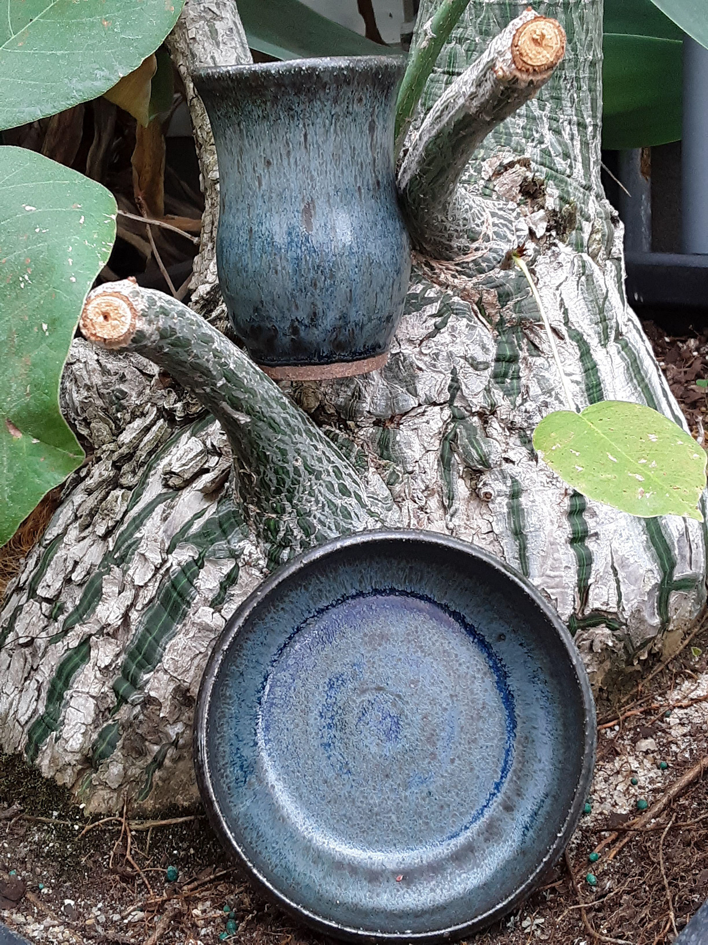 ceramics  wildclay stains Slips clay Nature art Handbuilding wheelthrowing