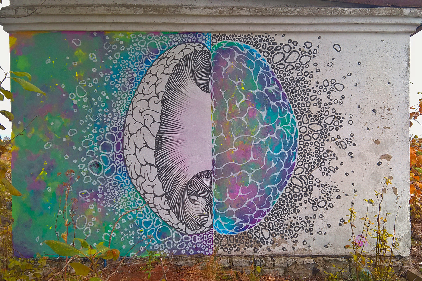 polar mind labyrinth brain Mural urban art Street