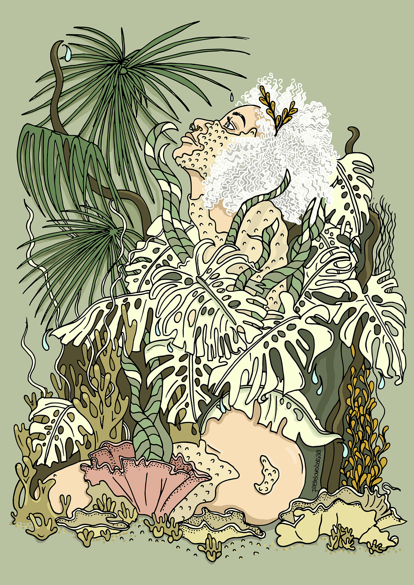 Amphitrite Drawing  drwa Flowers ILLUSTRATION  jungle Nature palm summerillustration tropicalillustration