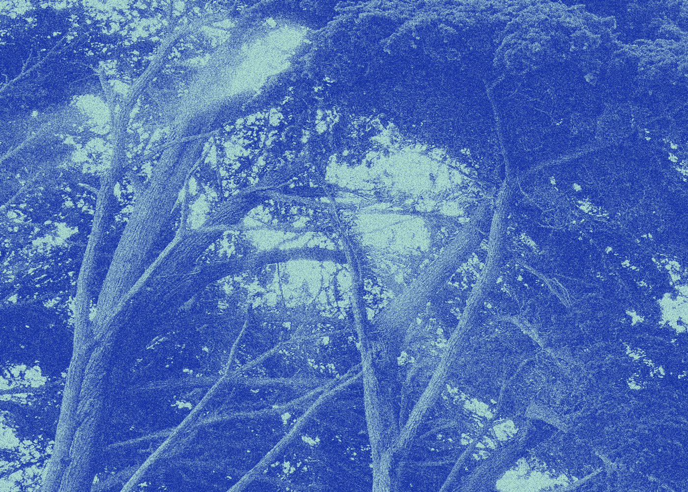 Adobe Portfolio fragments McGill philosophy  journal magazine student blue modern grid psychedelic Duotone atmospheric