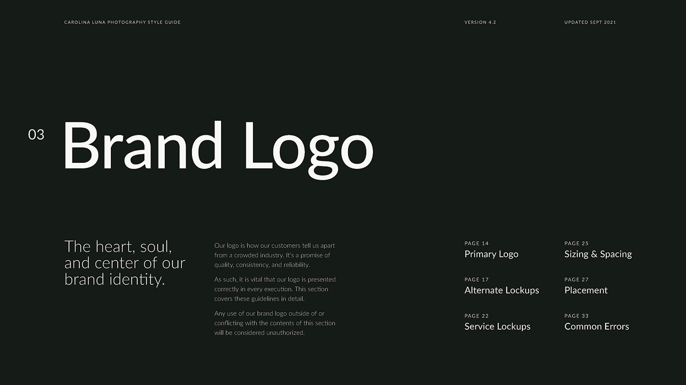 brand Brand Design brand identity branding  identity Logo Design logos Logotype typography   visual identity