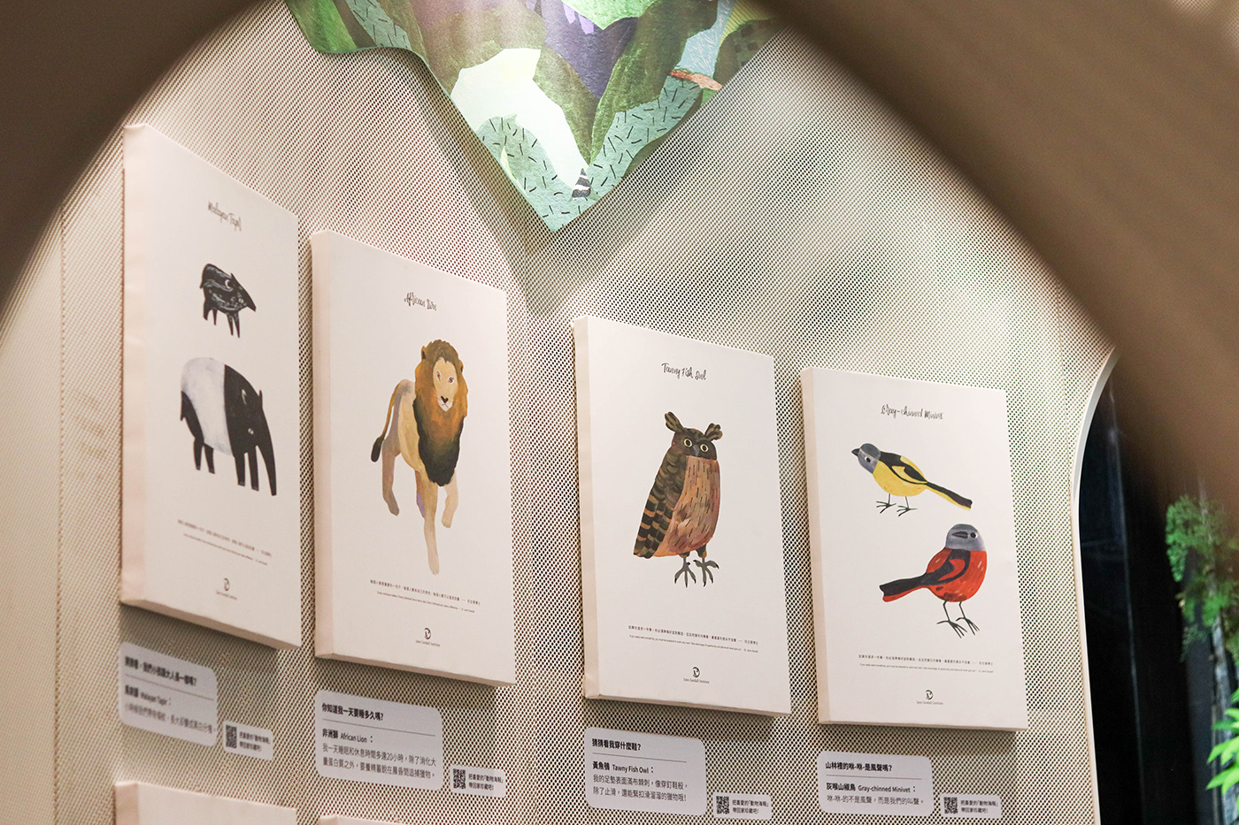 Jane Goodall animal illustration curation Exhibition  ILLUSTRATION  art Exhibition Design 