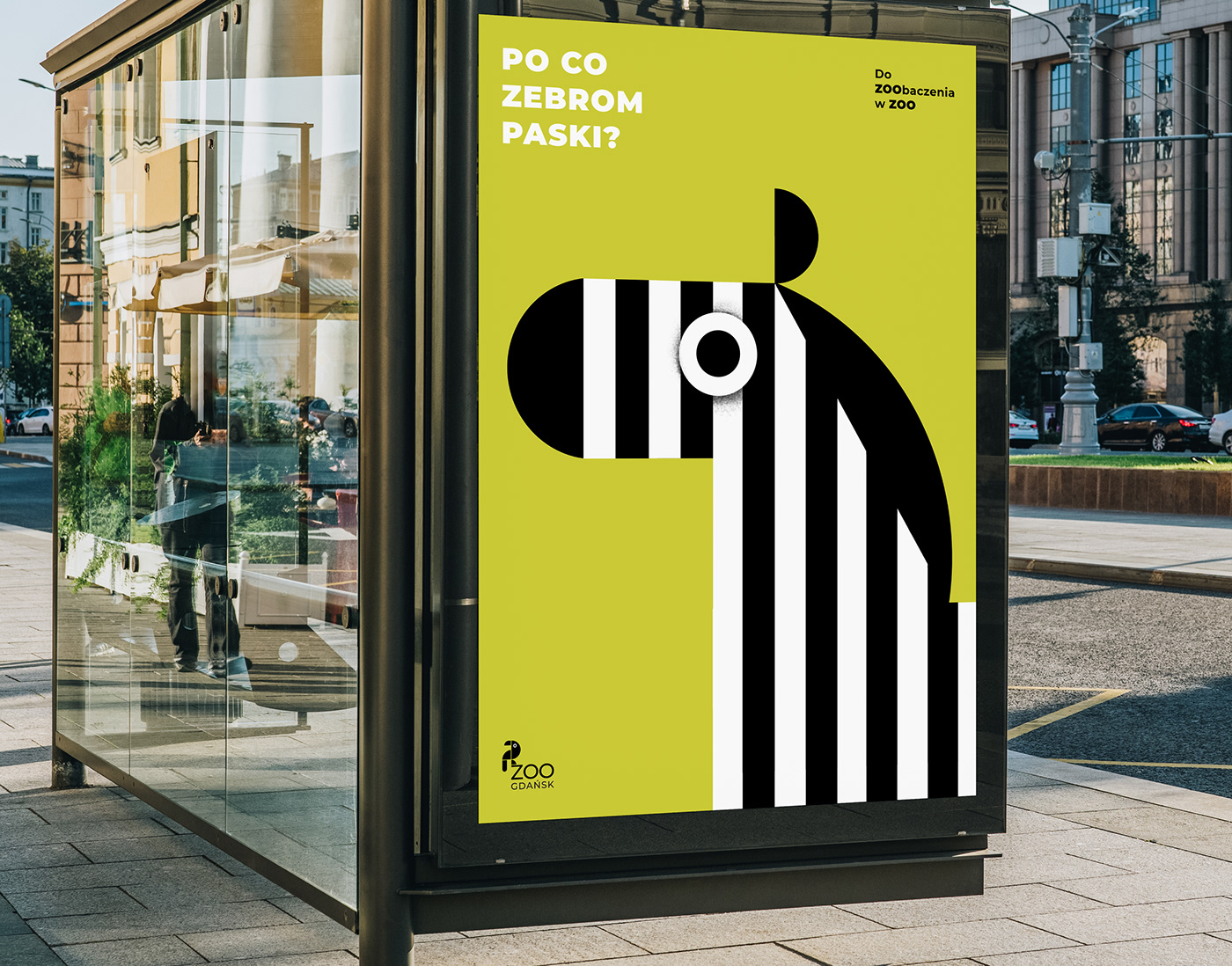 branding  graphic design  identity ILLUSTRATION  logo posters Signage visual identity zoo animals