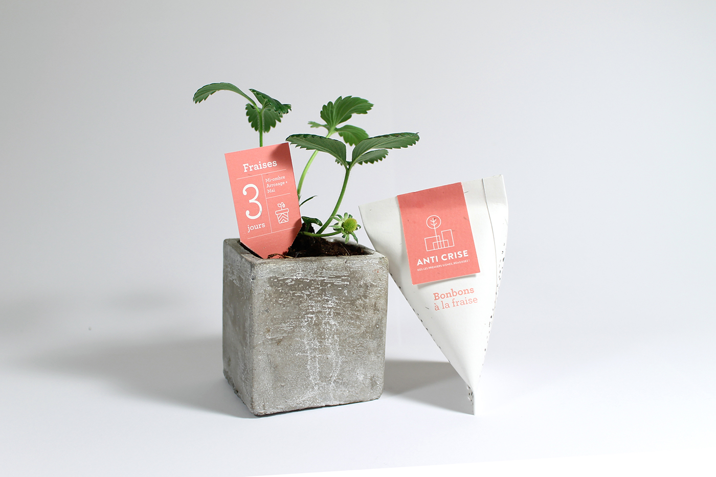 Nature paper Plant organic calendar green bonbon Packaging sweet identity