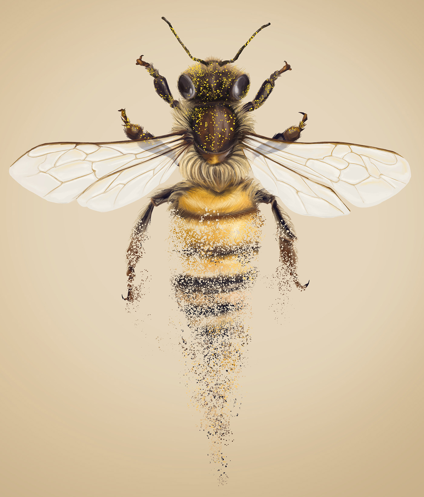 bees Disappear ecosystems ILLUSTRATION  photoshop Pollen science stile