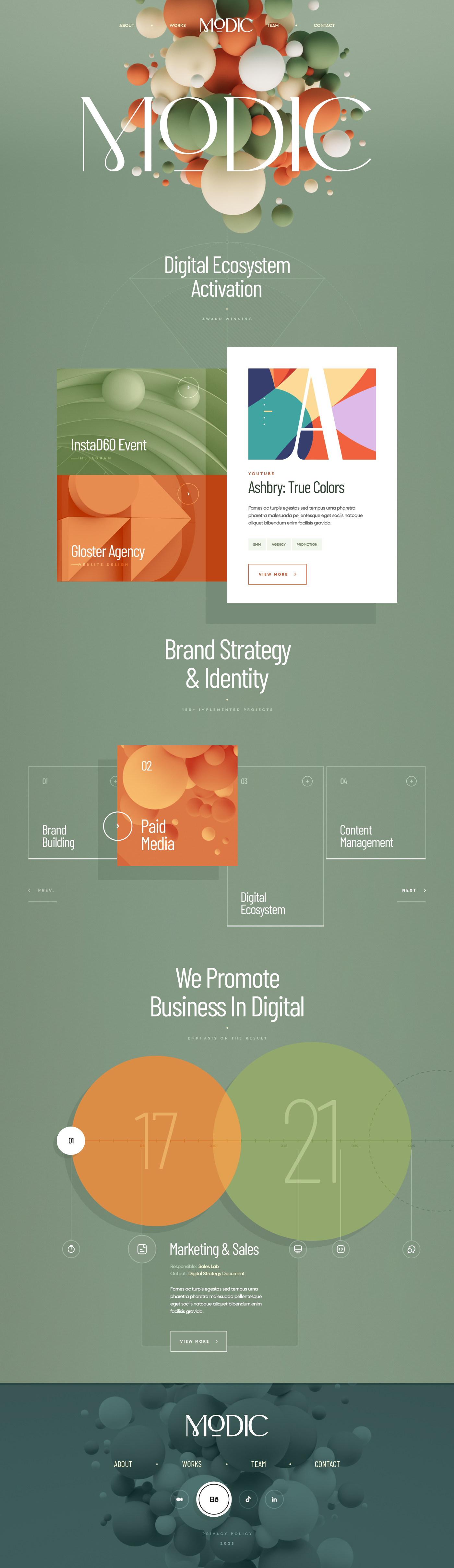 Website Web Design  marketing   animation  3D Advertising  design graphic design  social media Render