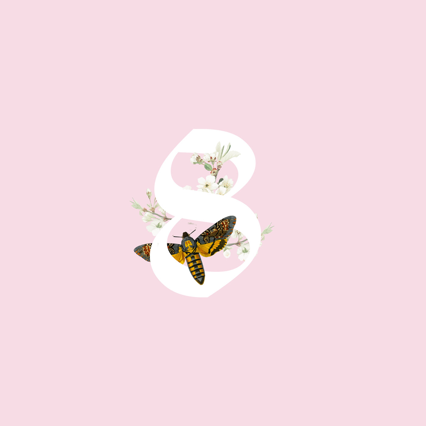 Blackletter Cherry Blossom color design floral Nature old english typography   butterflies ILLUSTRATION 