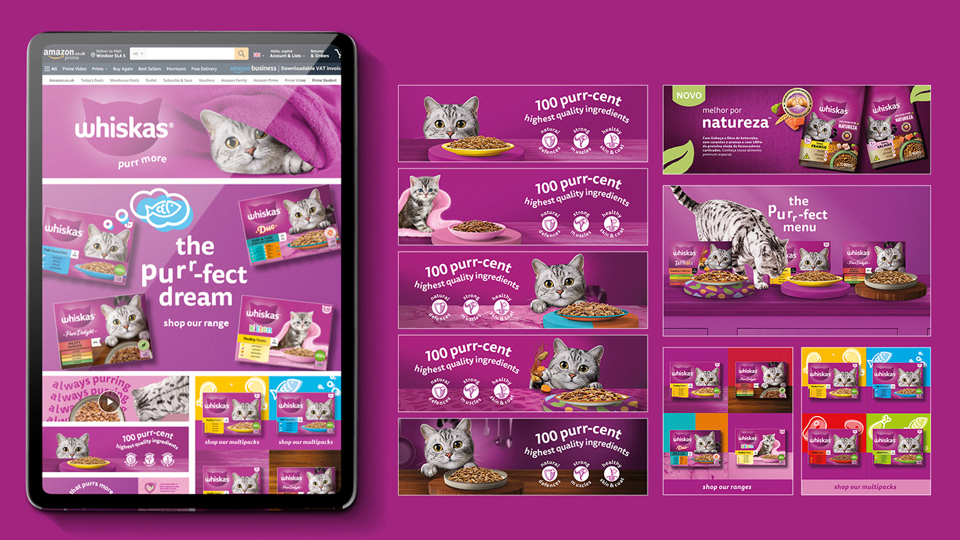 brand identity petcare GlobalBrand cats petcare branding