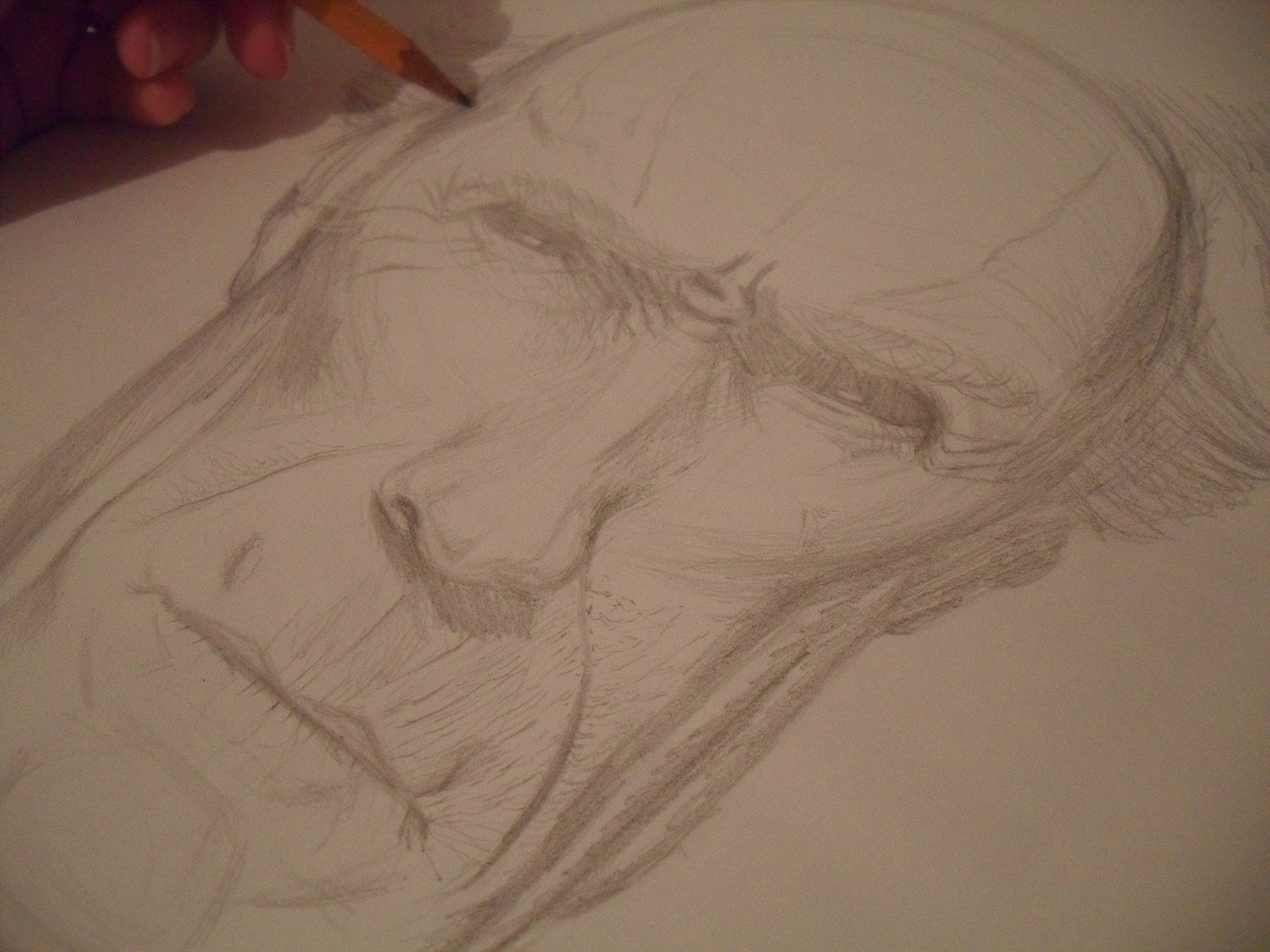 pencil Drawing 