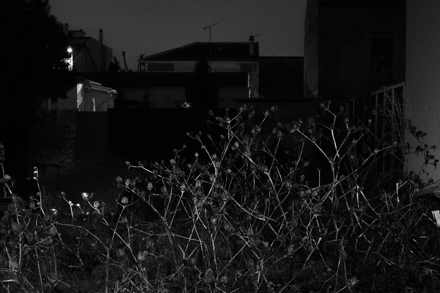 black and white Cachan monochrome Photography  Suburban Urban