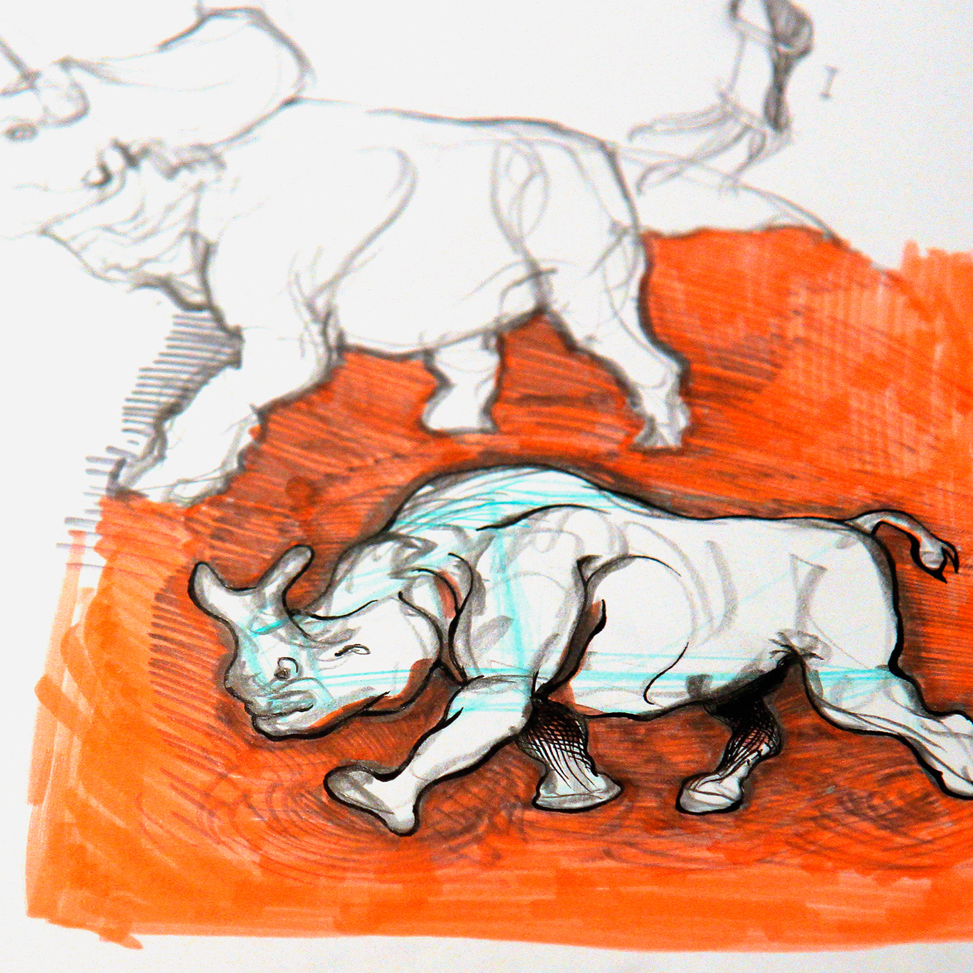 animals sketchbook sketches creatures