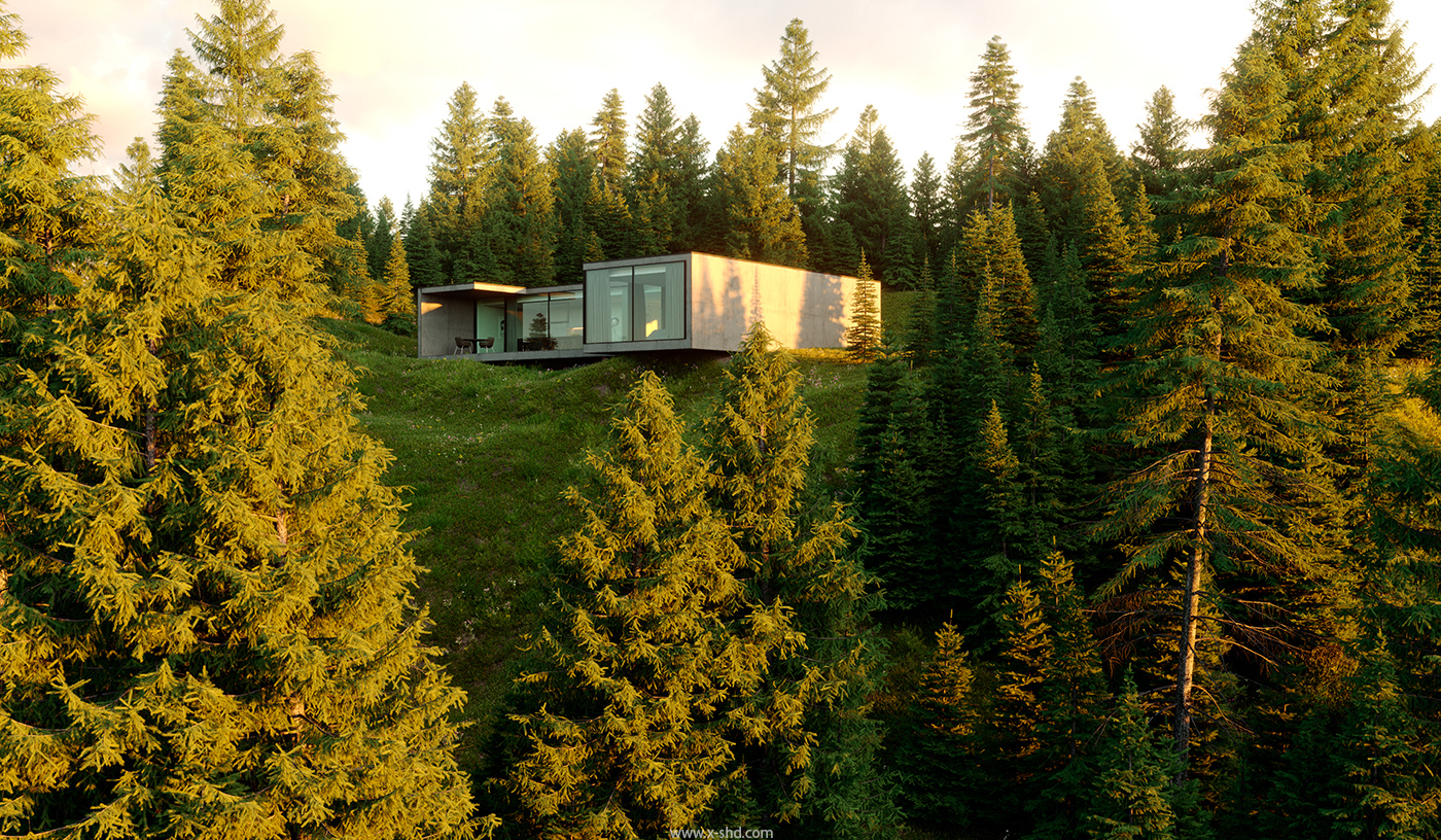 3D Render 3dsmax exterior forest minimalistic concrete light CGI modelling