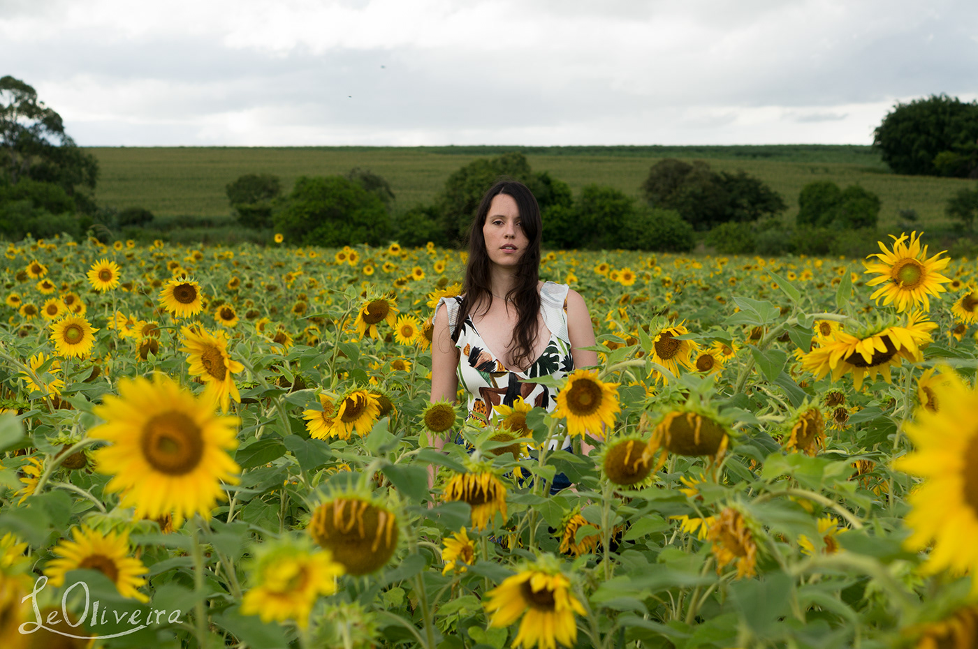 girl photoshoot Sunflowers